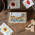 Zonnebloembox - 12 zakjes biologische zaden