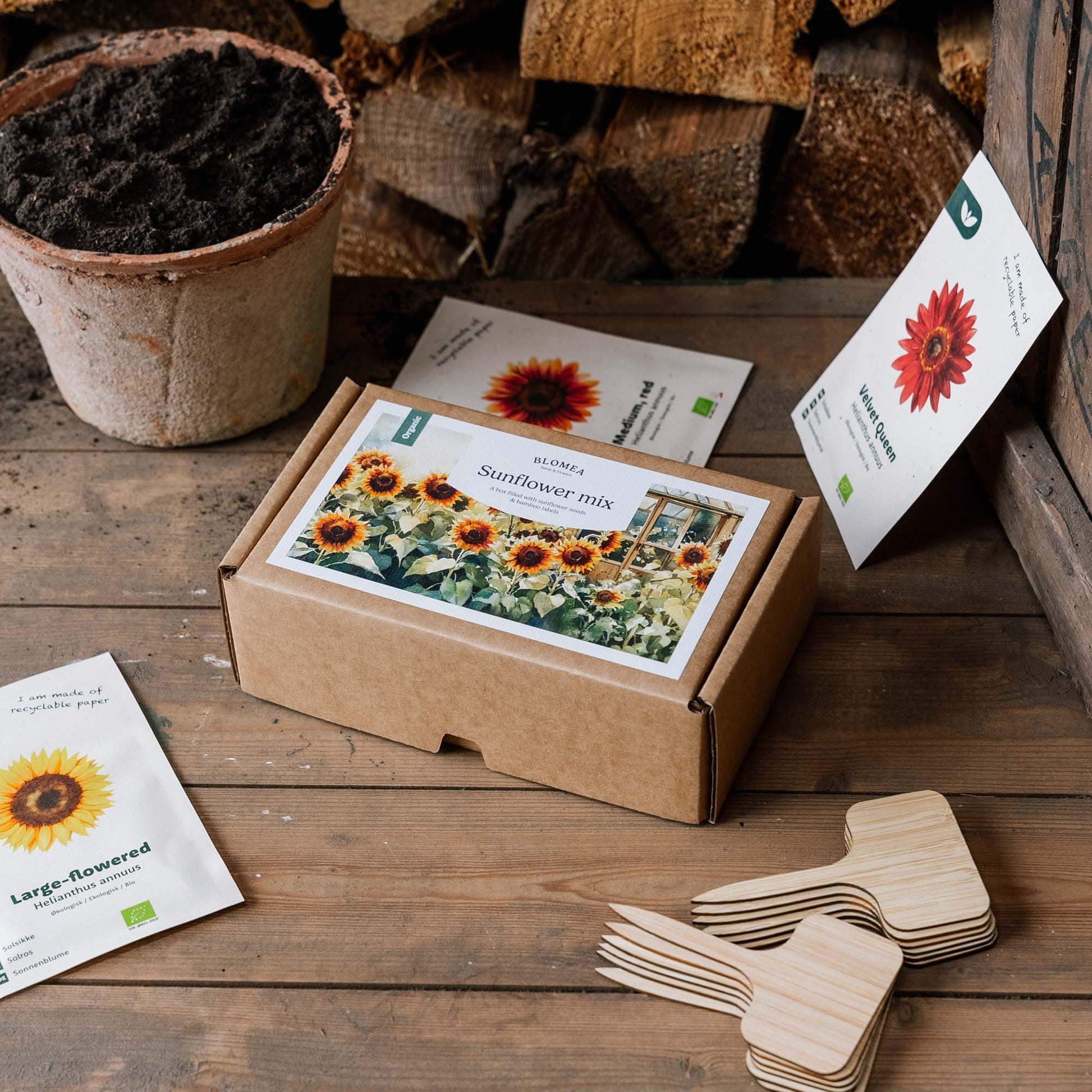 Zonnebloembox - 12 zakjes biologische zaden