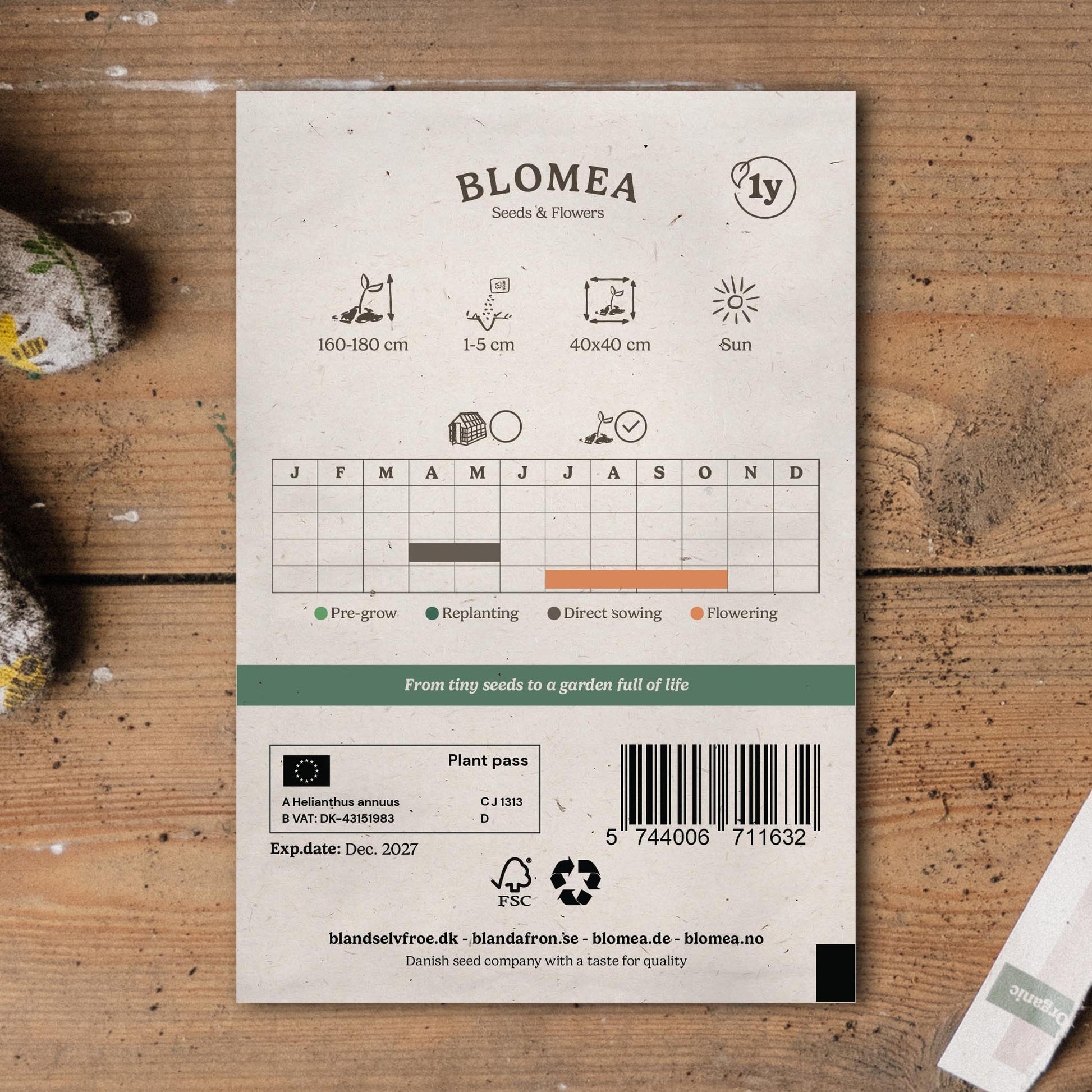 Zonnebloempitten 'Medium Flowered' - 20 biologische zaden