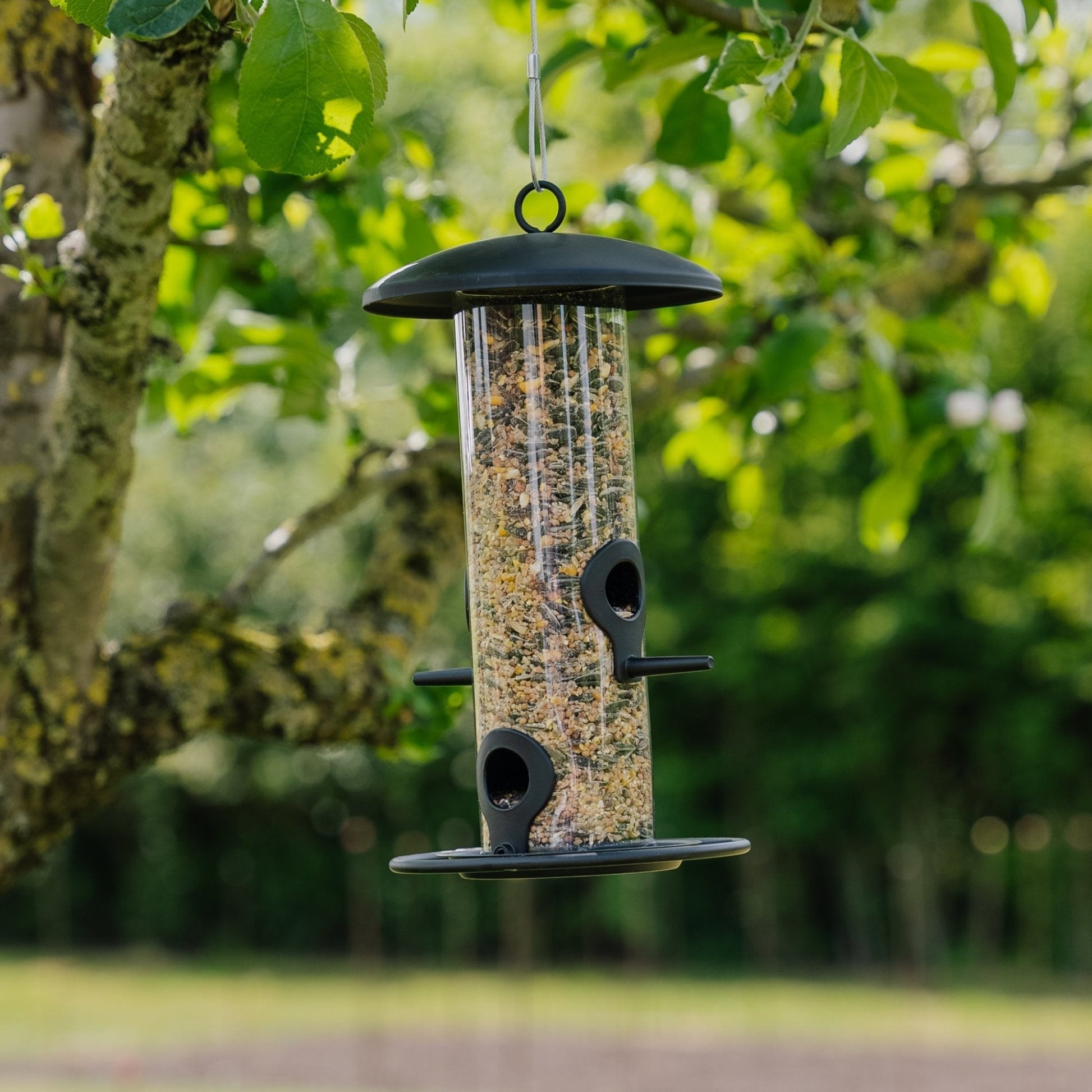 Zwarte vogelvoederautomaat, Ø: 14 cm H: 26 cm