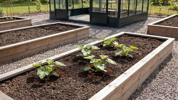 Courgette bemesten - Blomea.be