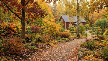 Herfst in de tuin - Blomea.be