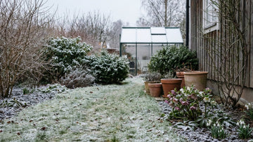 Tuin in januari - Blomea.be
