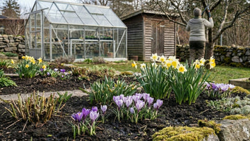 Tuin in maart - Blomea.be