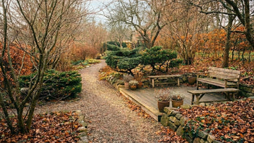 Tuin in november - Blomea.be