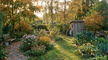 Tuin in september - Blomea.be