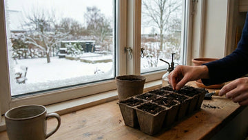 Voorzaaien in februari - Blomea.be
