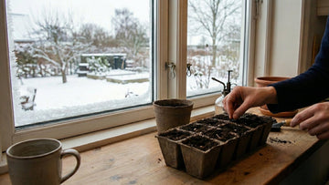 Voorzaaien in februari - Blomea.be