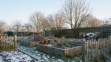 Wat zaaien in januari - Blomea.be