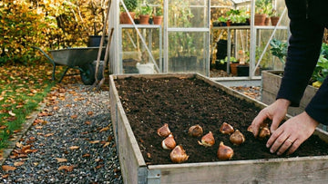 Wat zaaien in oktober - Blomea.be