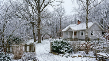 Winter in de tuin - Blomea.be