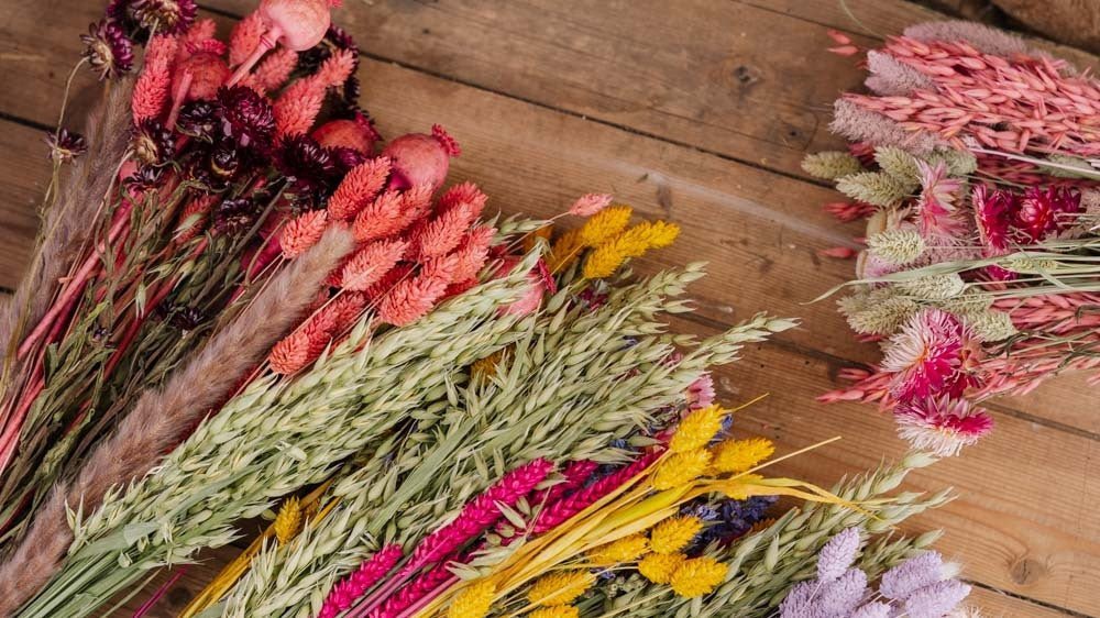 Gedroogde bloemen - Blomea.be