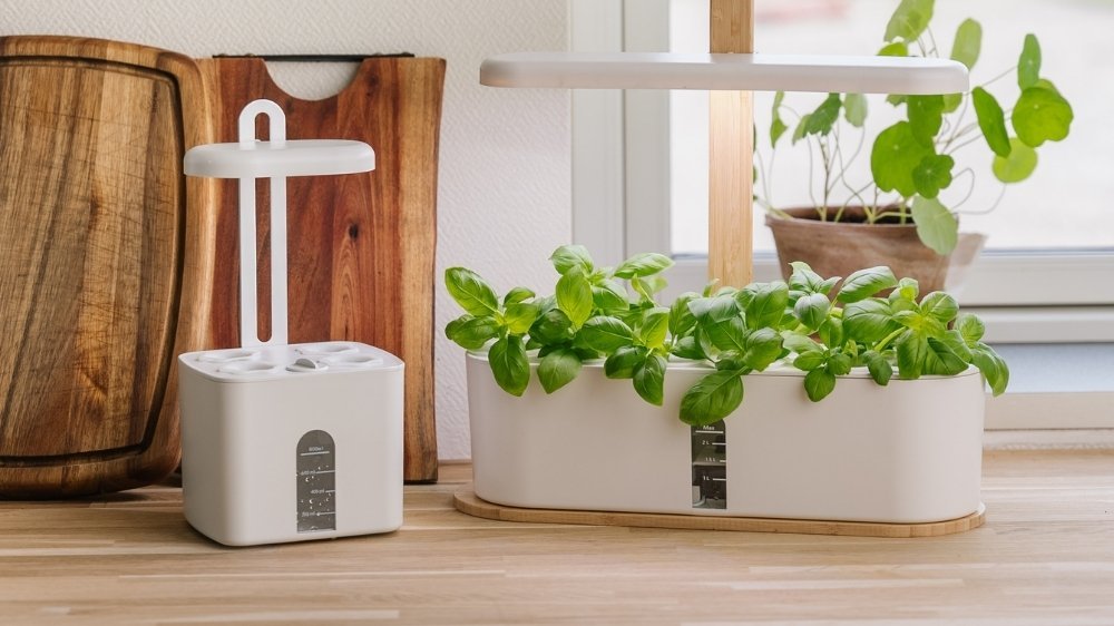 Hydroponische teelt - Blomea.be