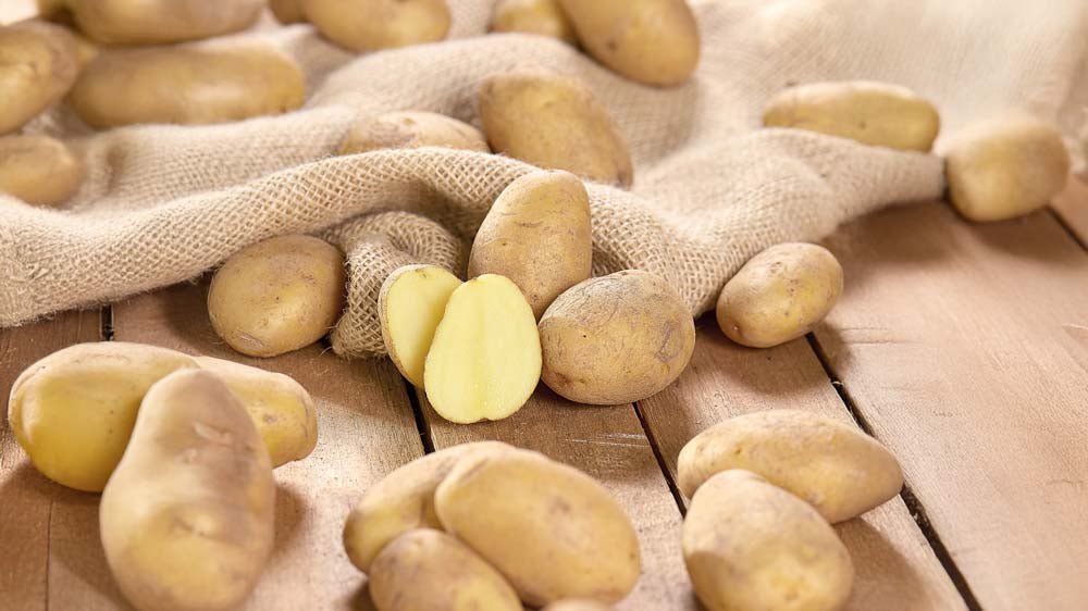 Pootaardappelen - Blomea.be