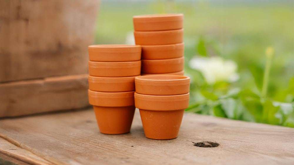 Terracotta potten - Blomea.be