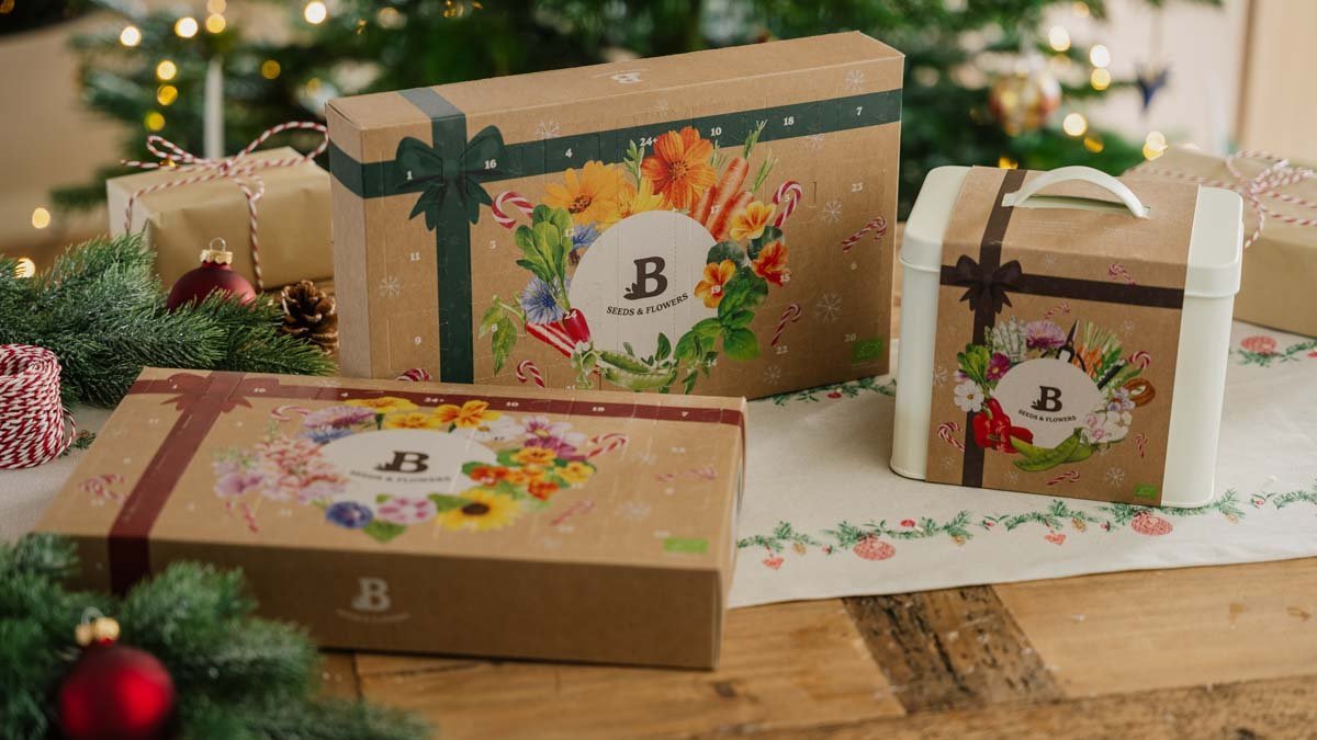 Zaden adventskalender - Blomea.be