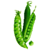Groentezaden