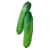 Groentezaden
