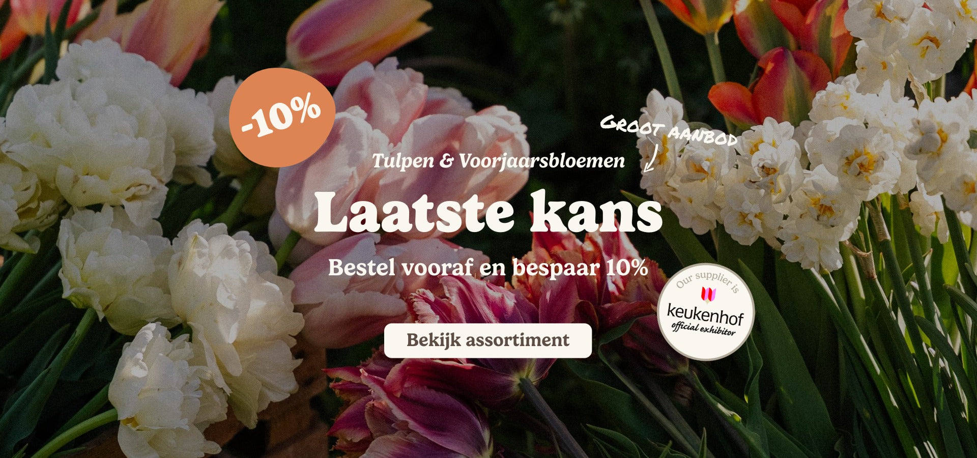 slider image slider_item_DzqfQA