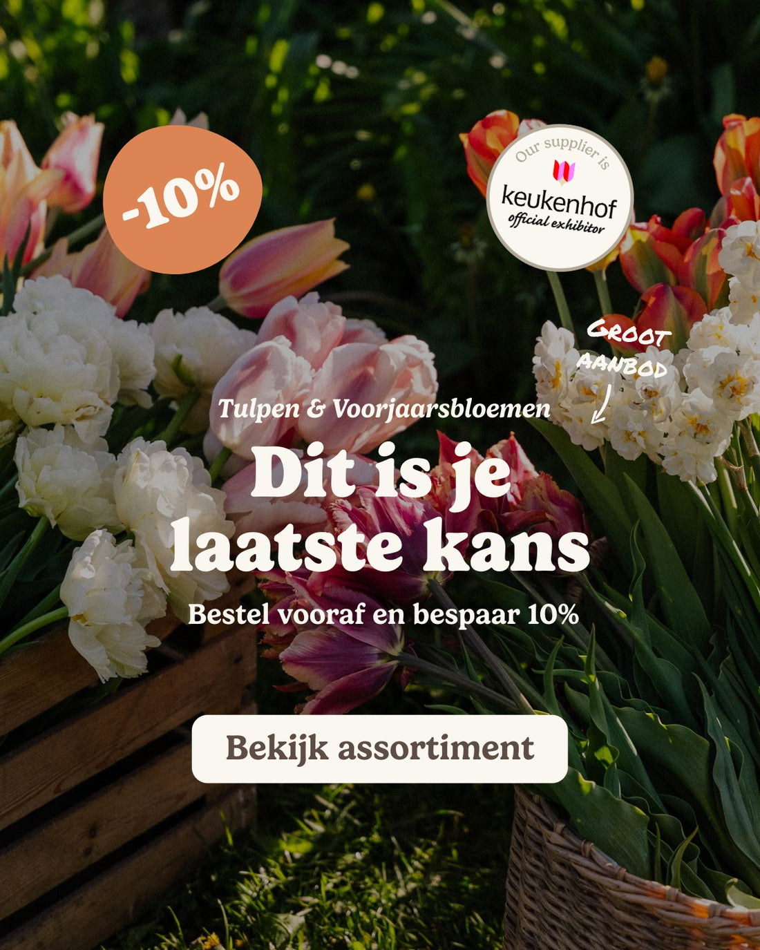 slider image slider_item_DzqfQA