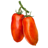 Pruimtomaten zaden