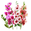 Bloemzaden