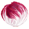 Groentezaden