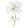 Bloemzaden