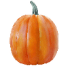 Groentezaden