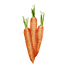 Groentezaden