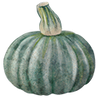 Hokkaido pompoen zaden