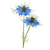 Bloemzaden