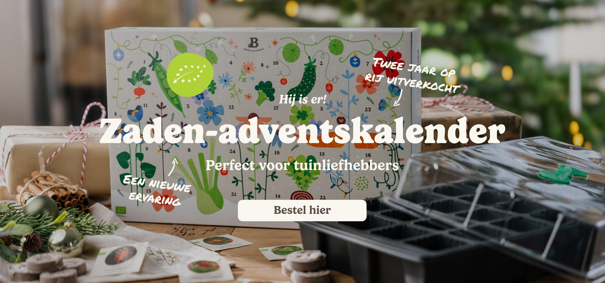 slider image slider_item_HCHnpp