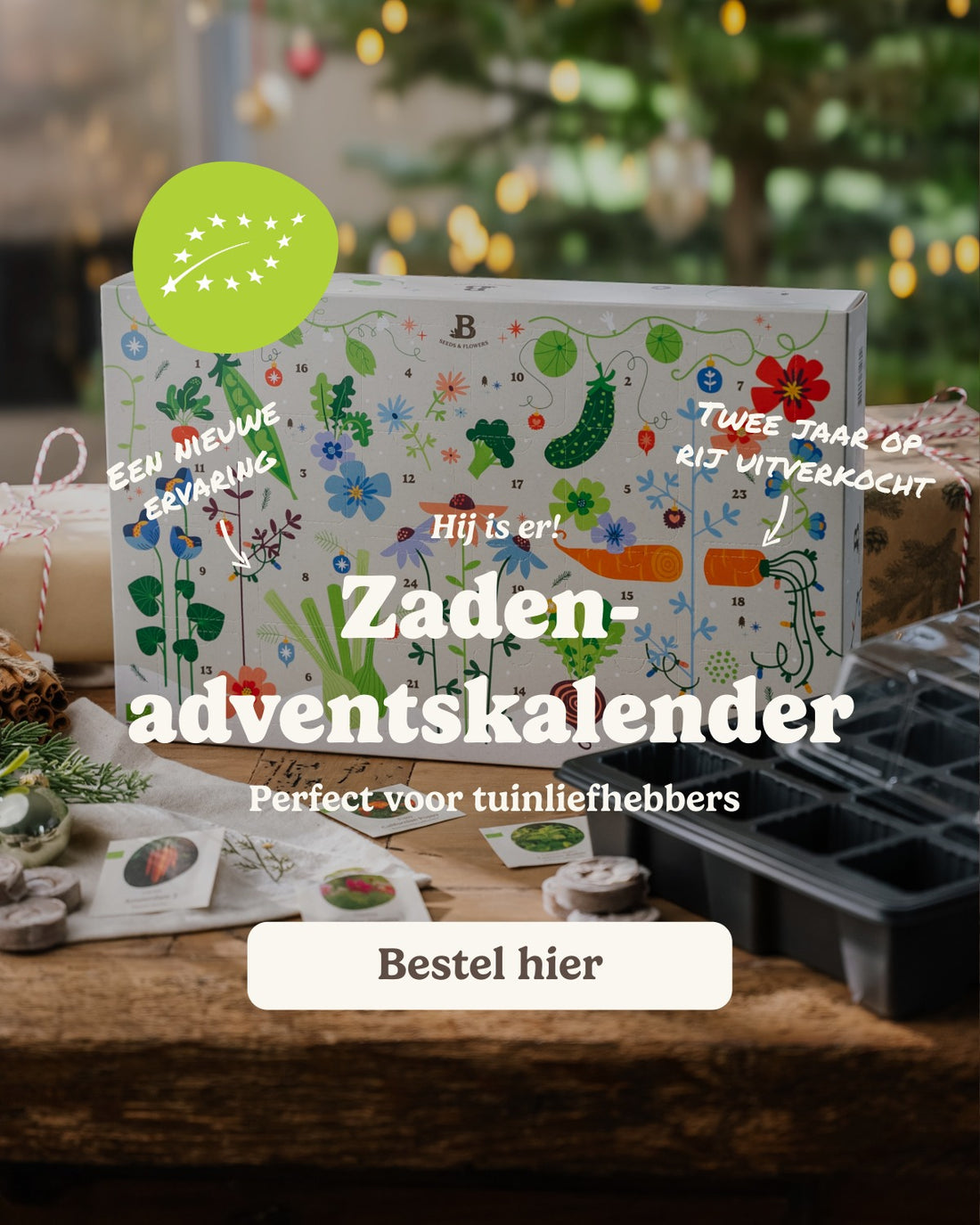 slider image slider_item_HCHnpp