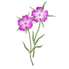 Bloemzaden