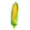 Groentezaden