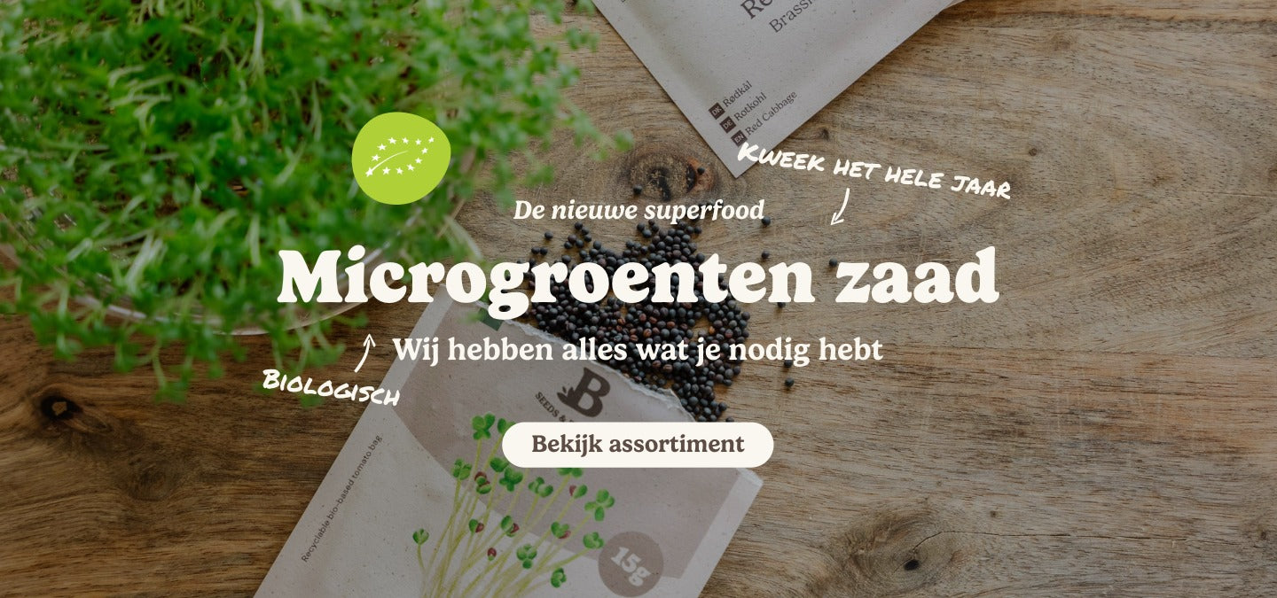 slider image slider_item_AqYdkF