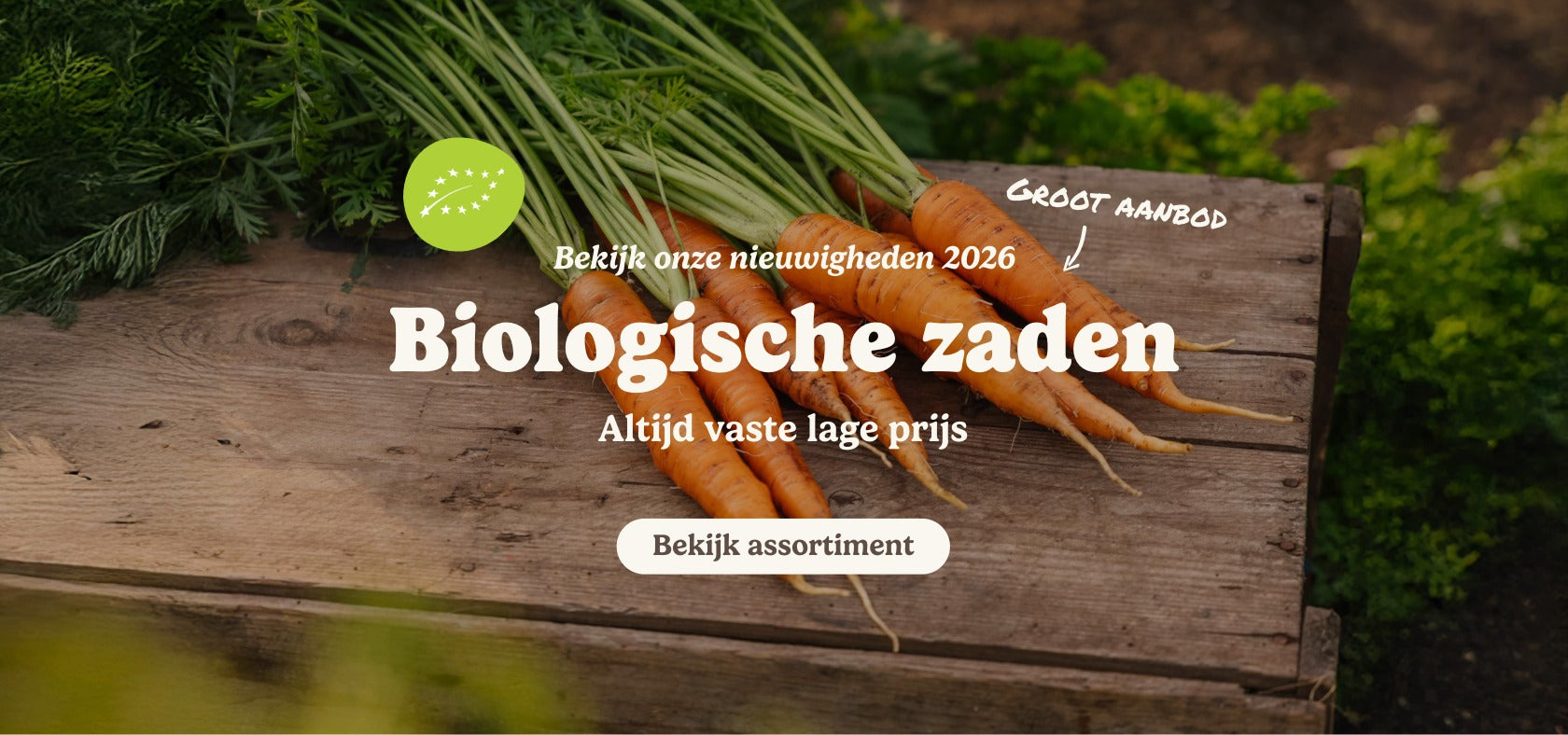 slider image slider_item_ymCCfL