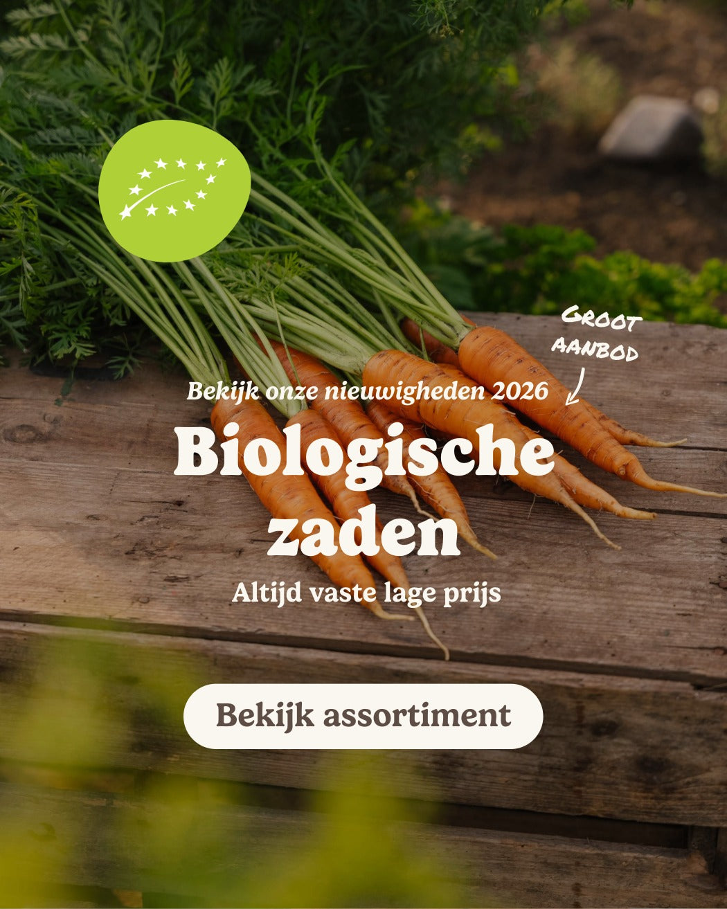 slider image slider_item_ymCCfL