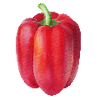 Groentezaden