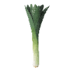Groentezaden