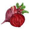 Groentezaden