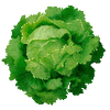 Groentezaden
