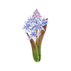 Voorjaarsbloemen
