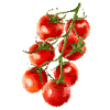 Groentezaden