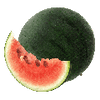 Groentezaden