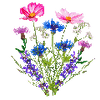 Bloemzaden