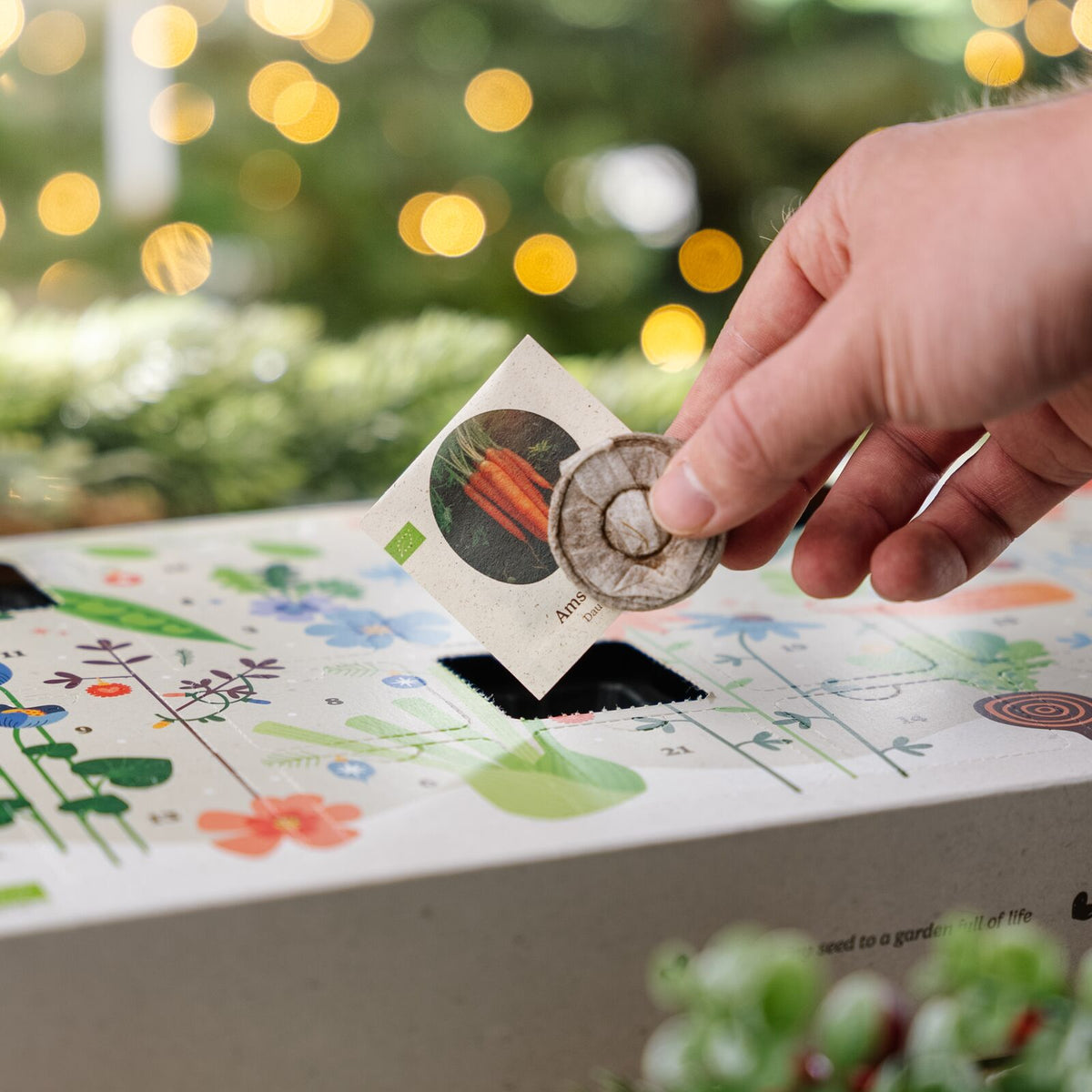 Zaden adventskalender