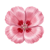 Bloemzaden