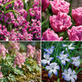 Bloembollenlasagne 'Confetti Garden'